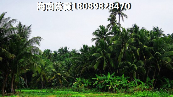 儋州房价上涨