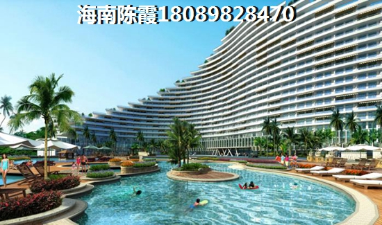 儋州和洋浦哪里发展前景更好