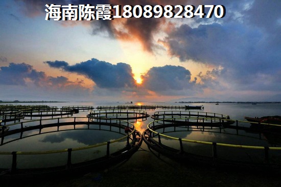 房子两违开具没有违章的证明