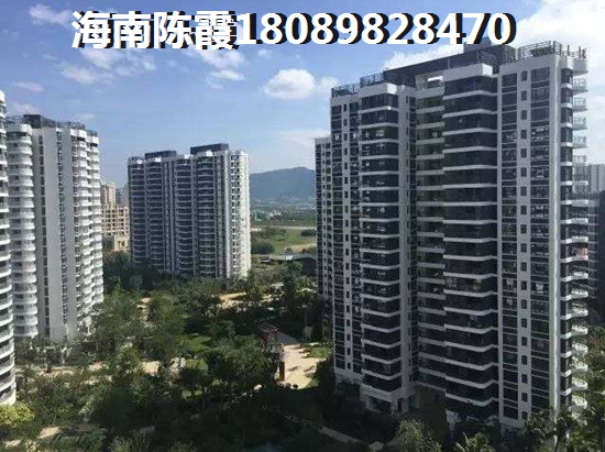 老叶公司小说