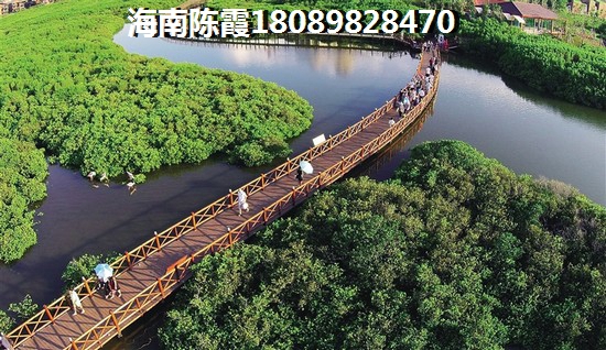 拜拜北鼻不录什么歌