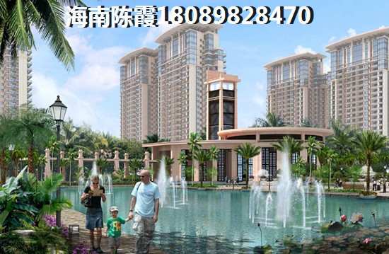 深圳物业股票什么情况